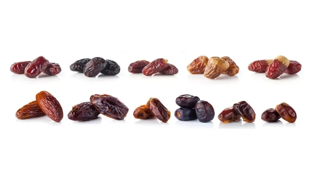 انواع خرما انواع خرما